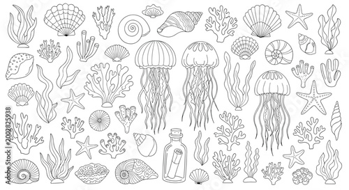 Large collection of hand drawn sea life elements including jellyfish,corals,seashells,and starfish in detailed line art style.