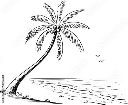 Hand-drawn of a leaning palm tree a sandy beach with ocean waves and birds