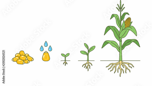 Nativity scene with Mary Joseph and baby Jesus vector illustration