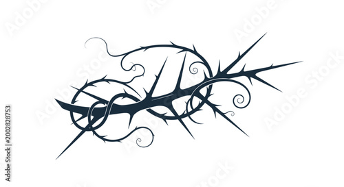 Thorn Crown Symbolic Jesus Christ.