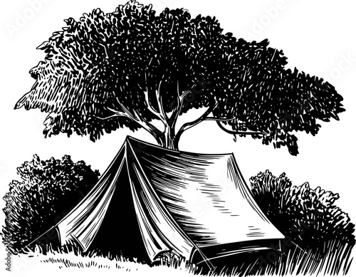 Vintage tent under large tree, black and white camping nature outdoor