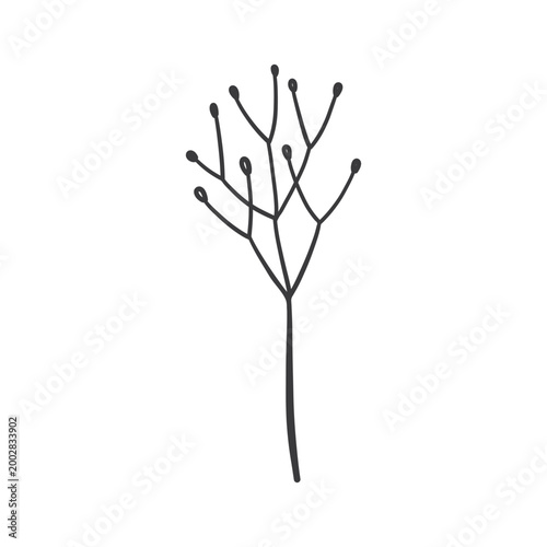 Hand drawn foliage branch vector, twig and leaves, flora