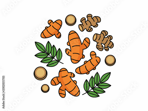 Turmeric and Ginger Roots with Leaves on White Background Illustration