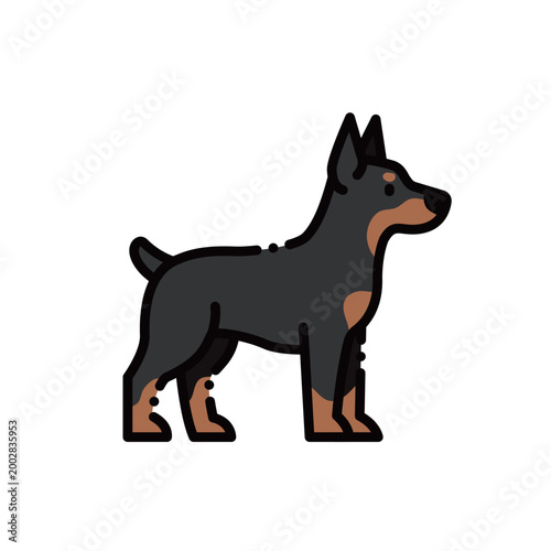 A handsome Doberman Pinscher with a sturdy posture and classic black and tan colors. Ideal for guard dog, pet care, or dog breed themes, with scalable vectors.