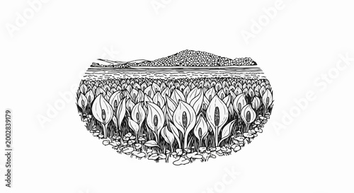 Oval landscape with skunk cabbage and distant hill