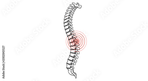Illustration of a human spine with a red target circle highlighting the lower back region for pain and medical study.
