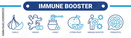 Immune Booster web banner icon vector illustration concept with icons of garlic, ginger, honey, citrus fruit, immune booster, and probiotics.