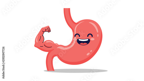 Healthy human stomach character shows off a strong muscular arm to represent effective digestion and gut health for wellness.