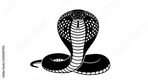 Cobra Snake Vector Illustration - King Cobra Standing with Hood Expanded - Black and White Tattoo Style Silhouette.