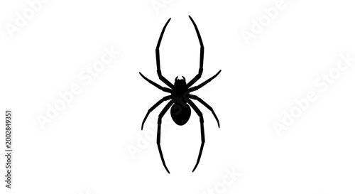 Black spider silhouette isolated on white background.