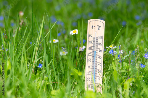 Thermometer, weather forecast, spring and summer flowers meadow, measure the temperature, sunny day in springtime