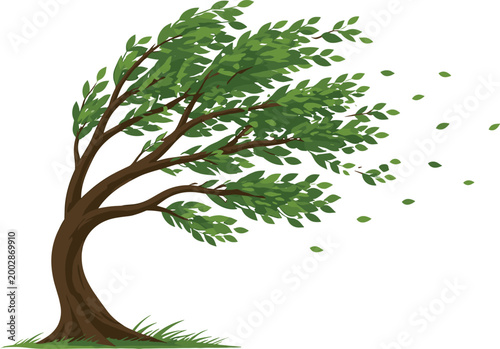 Green Leafy Tree Bending in Strong Gale Force Winds with Flying Leaves for Weather Forecasting Storm Warnings Climate Change and Nature Environment ConceptsGreen Leafy Tree Bending in Strong Gale Forc