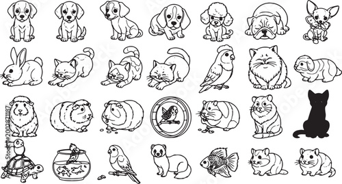 cute collection of cartoon pets and animals flat design vector illustration