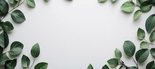 Elegant leafy border background on a clean white surface, showcasing a beautiful minimalist frame.
