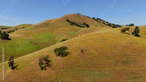 Aerial rising shot of gently sloping hills display a patchwork of green and brown under a clear blue sky. Ideal for nature documentaries or travel content.