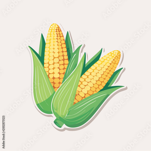 Two ears of corn with green husks