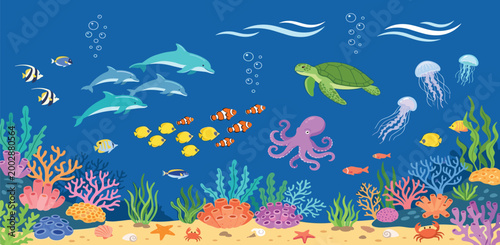 Underwater marine life background vector featuring dolphins, sea turtle, octopus, jellyfish, colorful tropical fish, and coral reef for nature education and ocean conservation designs.
