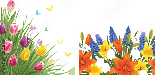 Spring floral corner vector set featuring tulips and mixed flowers with butterflies in vibrant botanical garden illustration style