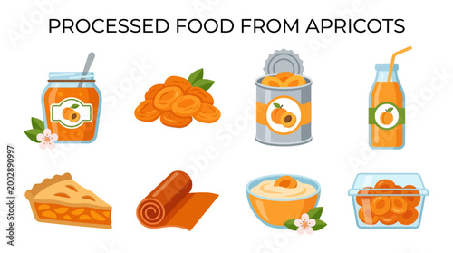 Multiple vector illustrations showing various delicious processed food items derived from healthy organic apricots arranged in a neat grid pattern