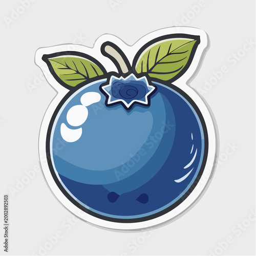 Stylized Blueberry Illustration