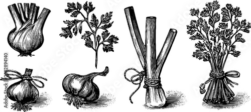 Assorted herbs and alliums arranged on white background