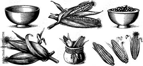 Corn cobs and bowls arranged with husks and kernels