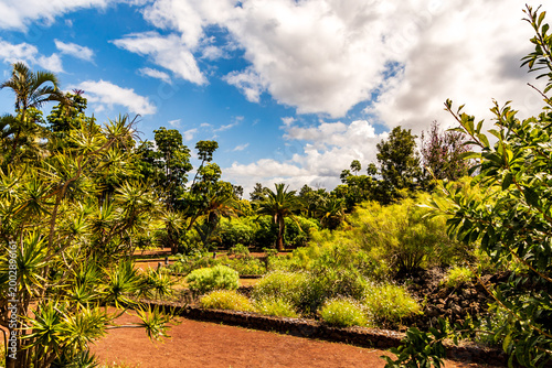 Paisaje en Puerto de la Cruz, Isla de Tenerife.