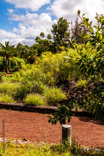 Paisaje en Puerto de la Cruz, Isla de Tenerife.