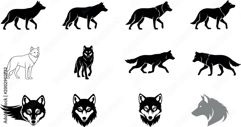 Fototapeta premium Vector Illustration of Walking Wolves, Wolf Faces, Silhouettes, and Logo Designs in Black and White