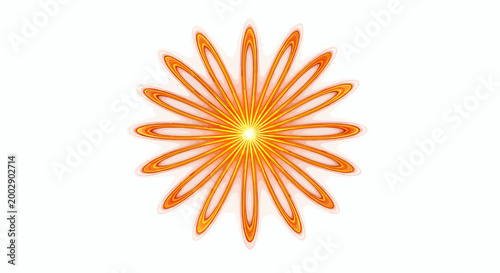 Radiant orange flower with many petals and sunlit center, a vivid floral bloom.