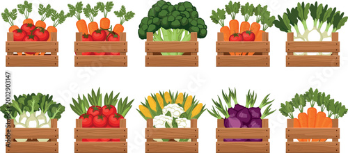 Wooden Crates Filled with Fresh Organic Vegetables, Carrots, Tomatoes, Broccoli, and Cauliflower, Vector Illustration