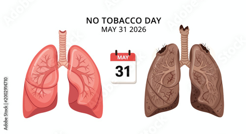 No Tobacco Day Comparing Healthy Lungs to Diseased Lungs from Smoking