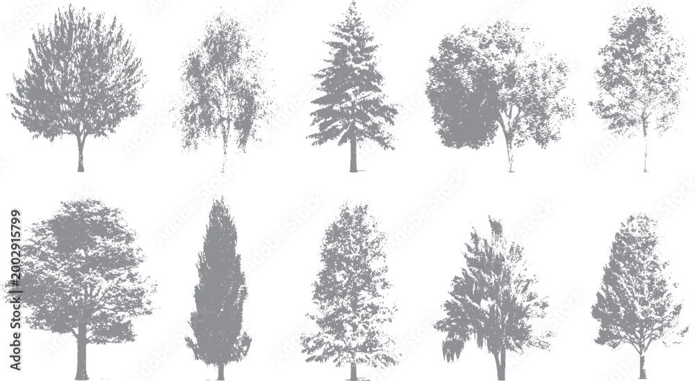 Fototapeta premium Clean line tree illustration for landscape planning Vector plant and tree drawing with simple outline style