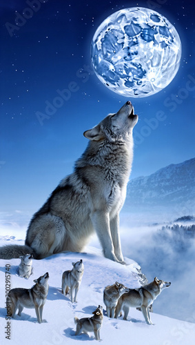 Howling Wolf Full Moon Night Scene