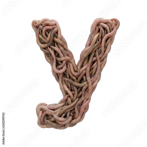 earthworm letter Y - Small 3d earthworm font isolated on white background. This alphabet is perfect for creative illustrations related to gardening, compost, horror concept. Generative AI