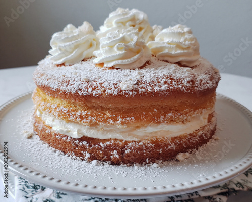 Homemade Sour Cream Cake Dessert on Rustic Table