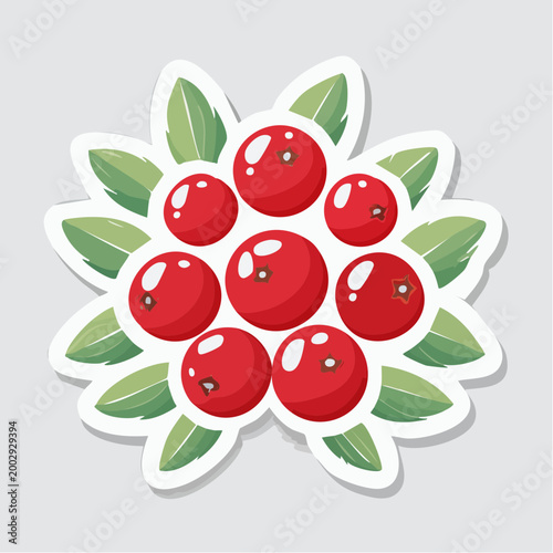 Illustration of Cranberries with Leaves
