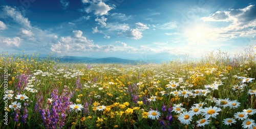 Sunlit meadow bursting with vibrant wildflowers under a vast, cloud-dappled sky