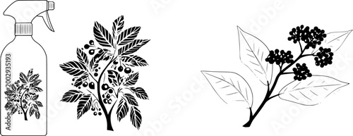 The horticultural neem oil spray is a natural remedy for pest control in gardens, promoting healthy plant growth with its potent antimicrobial properties