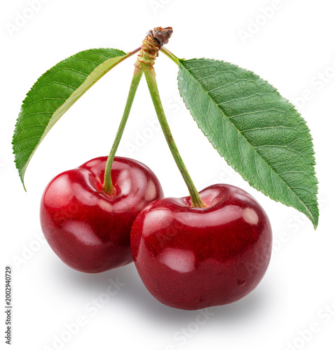 Canvas-taulu Sweet cherries with green leaves isolated on white background