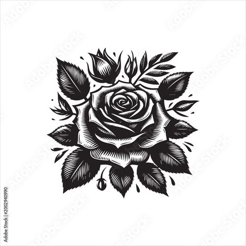 Black and white illustration of a detailed rose with leaves and buds on a clean white background, showcasing vector design elements and logos.