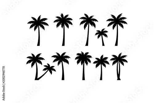 Set of various palm tree silhouettes, black and white, isolated on white background, representing tropical vegetation and vacation themes, perfect for summer designs