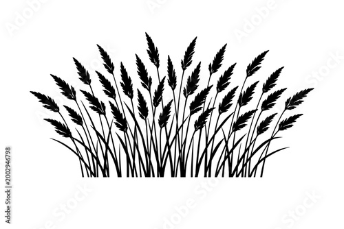 A stylized black and white illustration of a clump of wild grass or reeds, perfect for natural themes and graphic design elements
