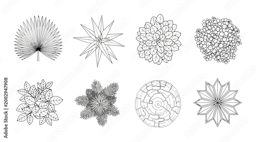 Obraz premium Hand drawn top view plant and tree sketches set architectural landscape design elements, garden plan symbols, and botanical illustrations