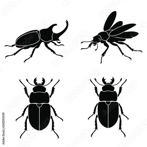Black silhouettes of various beetles including rhinoceros, flying, and stag beetles on a white background, useful for nature and biology themed designs.
