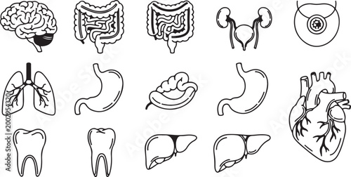 Human heart and scalpel line icon for cardiology surgery medical health design