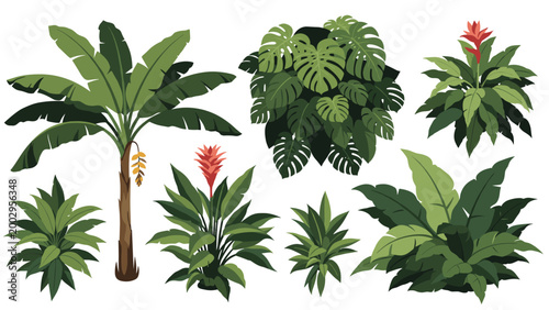 Set of various green tropical plants including a banana tree and exotic flowers against a plain white background.