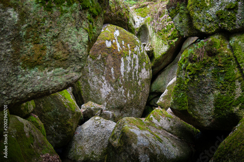 Natural Granite Rock Formations Covered in Vibrant Green Moss in a Mystical Forest