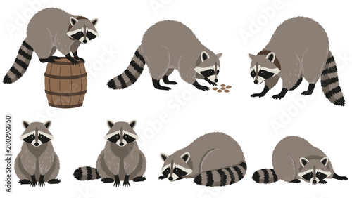 Collection of raccoon illustrations showing the animal in different poses like eating, sleeping, and standing on barrel.