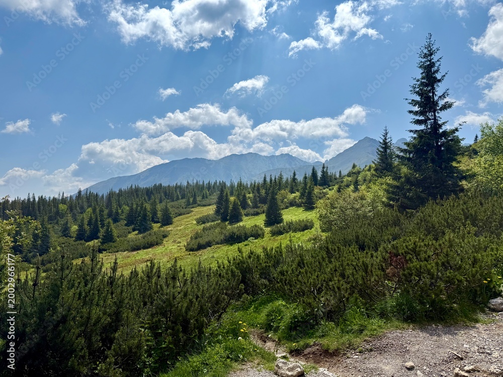Fototapeta premium Rolling green hills and mountain landscape